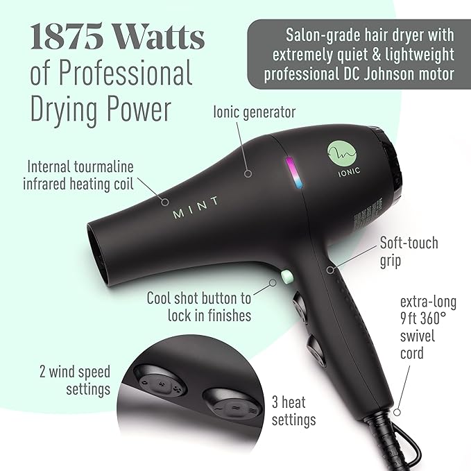 Black Bird Ionic Dryer